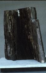 ascension Wooden Sculpture Image