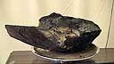 Burnt Offering