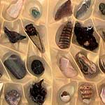 Reliquary Triptych: Fred West's Watch